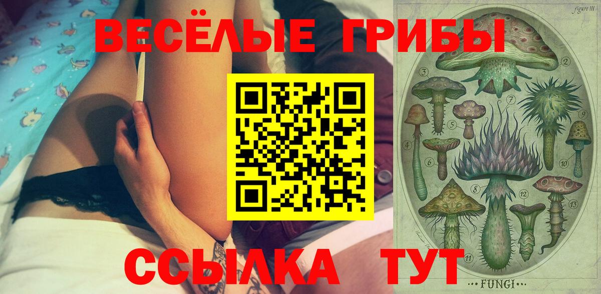 Псилоцибиновые грибы Cubensis  Вход с VPN  Саяногорск 